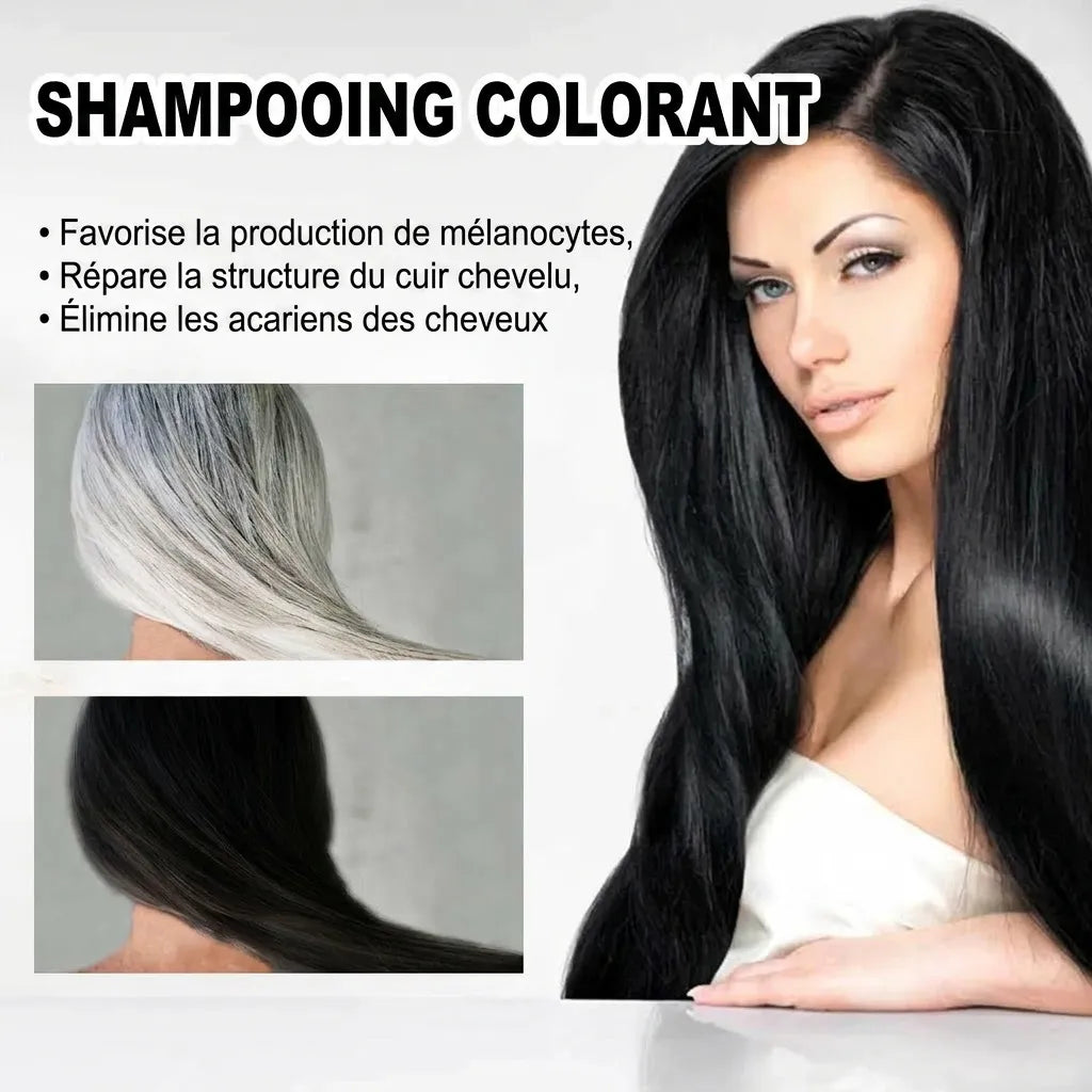 Shampoing réparateur et colorant pour cheveux noirs | Veiggara
